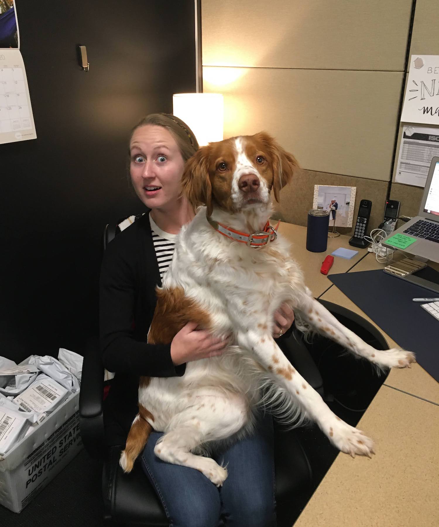 ISOtunes Ear Protection Office