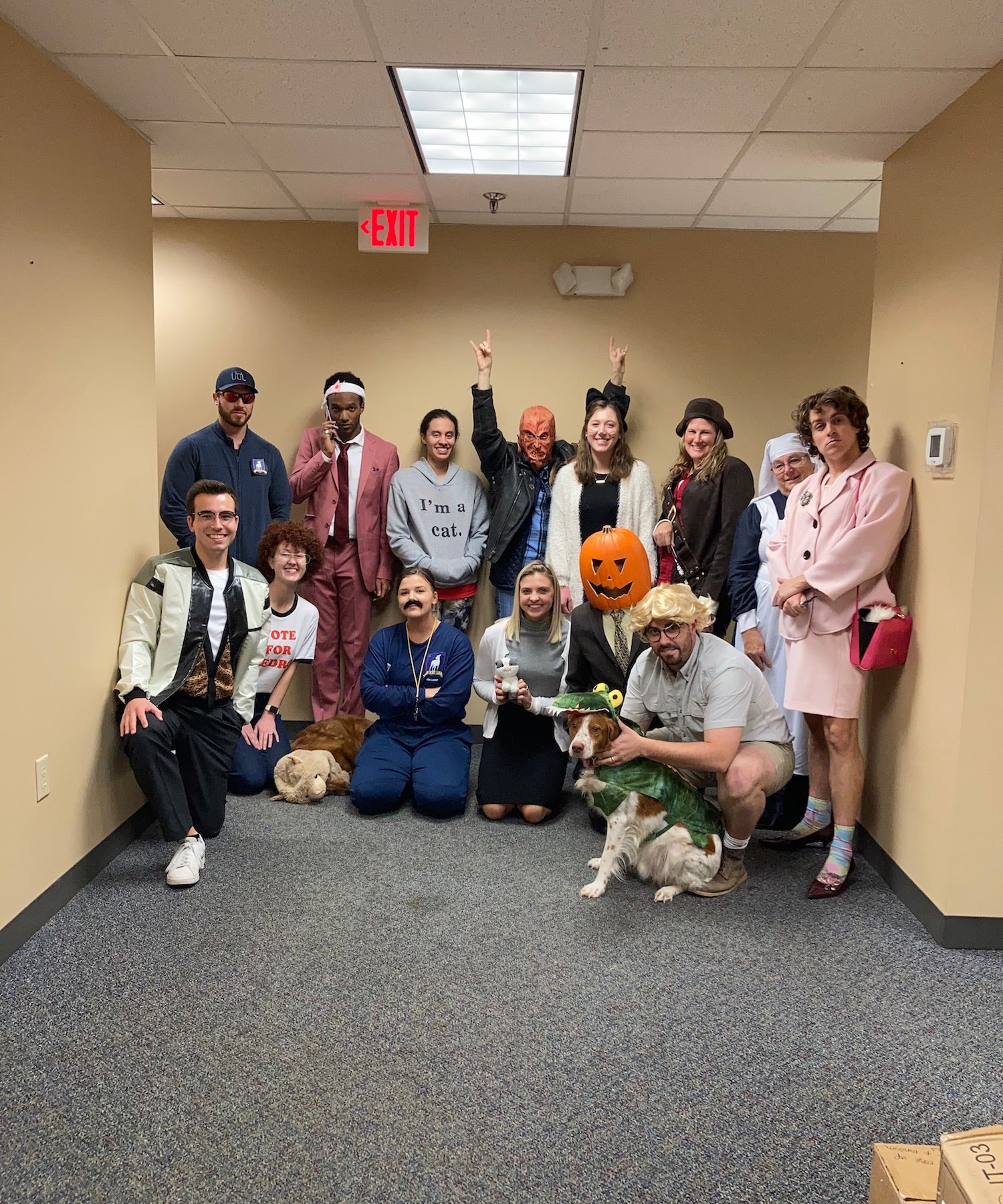 ISOtunes Hearing Pro Office