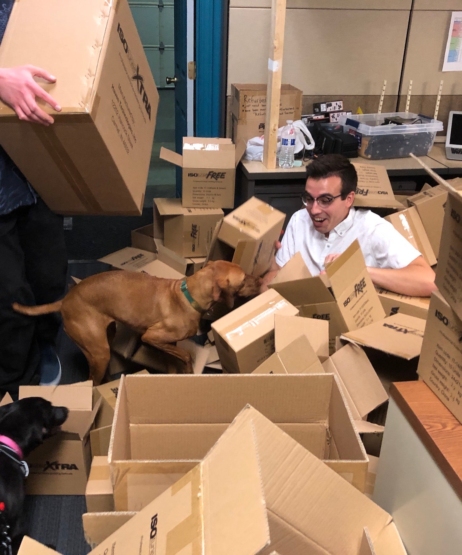 ISOtunes Hearing Protection Office