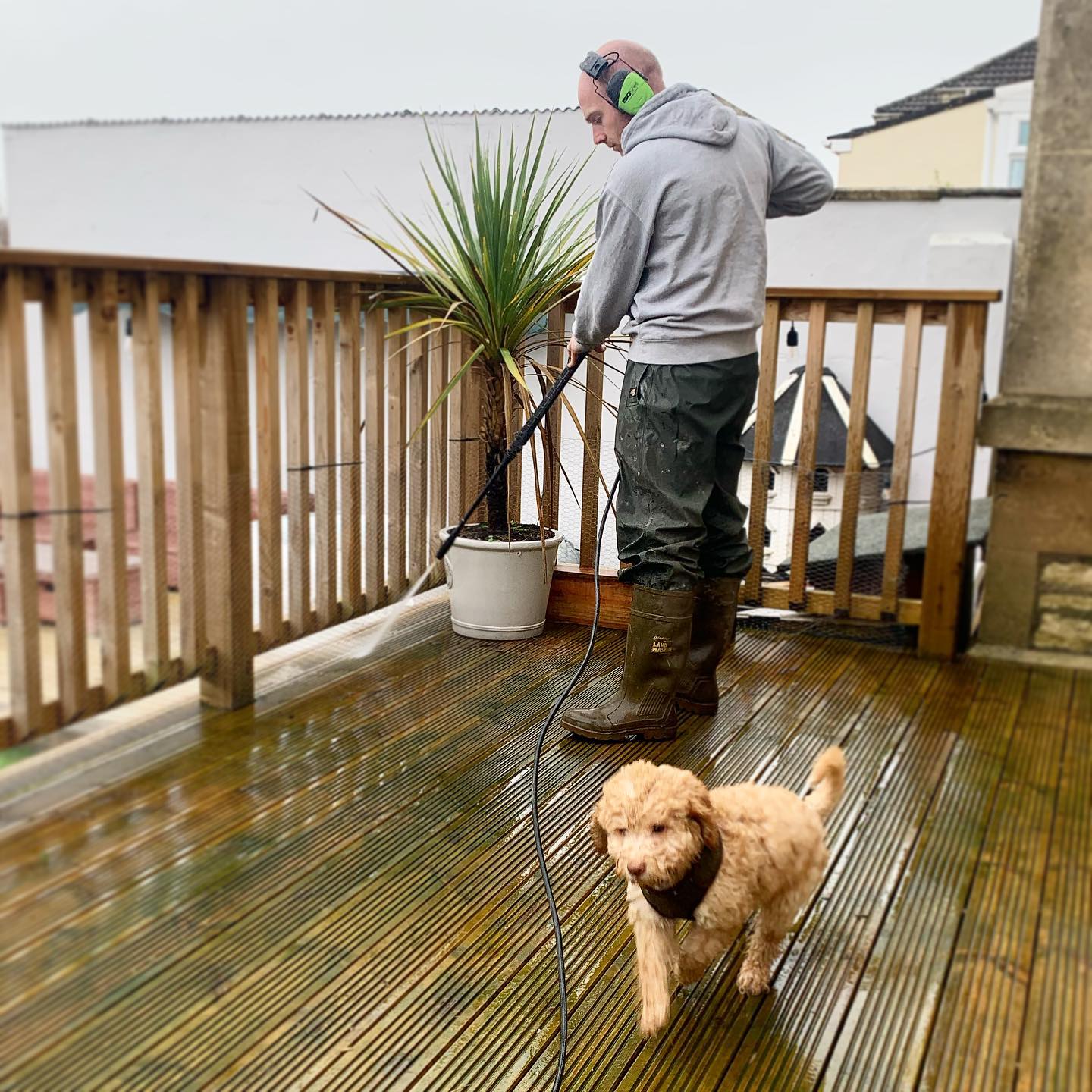 ISOtunes In the WIld LINK Aware restorationcouple